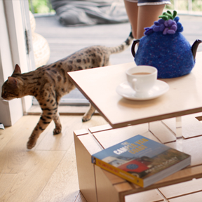 Qubis Haus coffee table top view